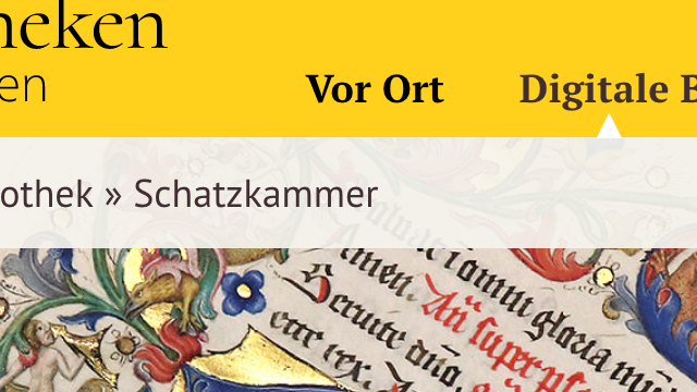 Die Webseite der Bibliotheken Schaffhausen wurde 2019 veröffentlicht.